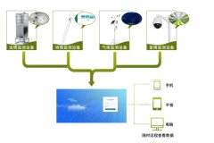 在番石榴的種植中，農(nóng)業(yè)四情監(jiān)測系統(tǒng)有何作用？